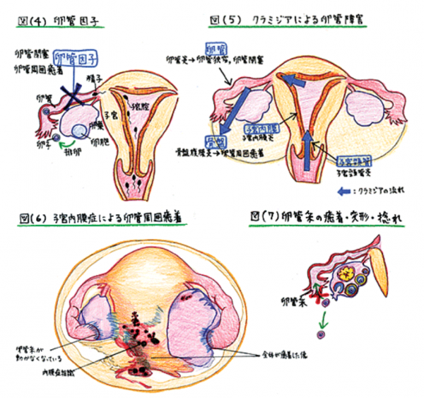 妊娠しづらいかも 長津田レディースクリニック 産婦人科 乳腺外科